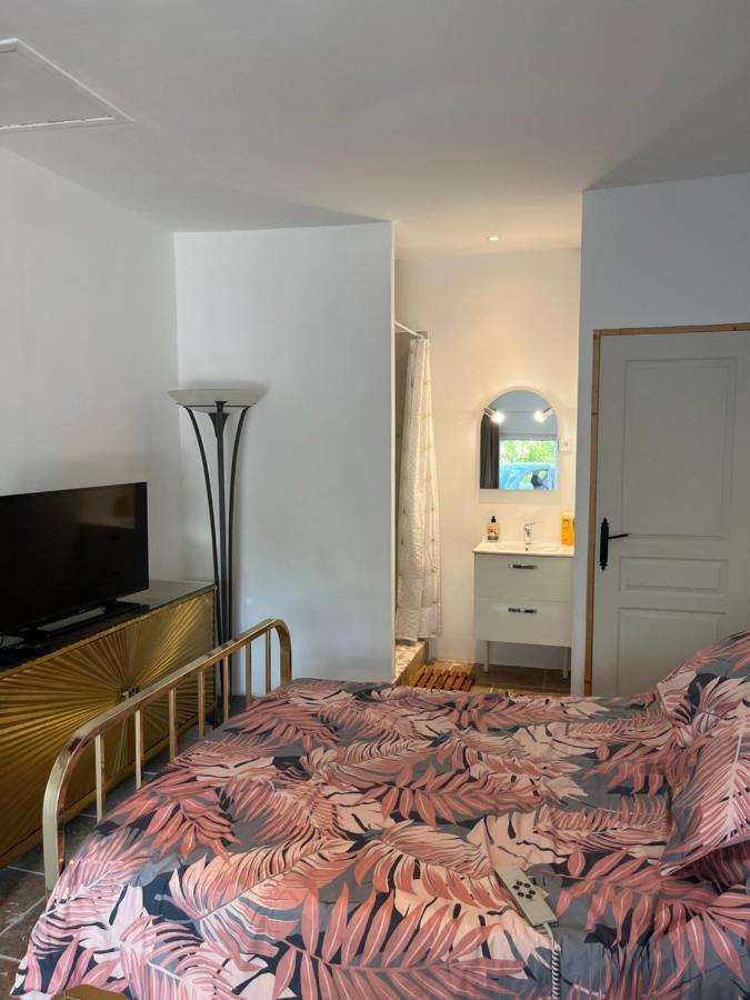 Homestay Chaton L'Isle-sur-la-Sorgue